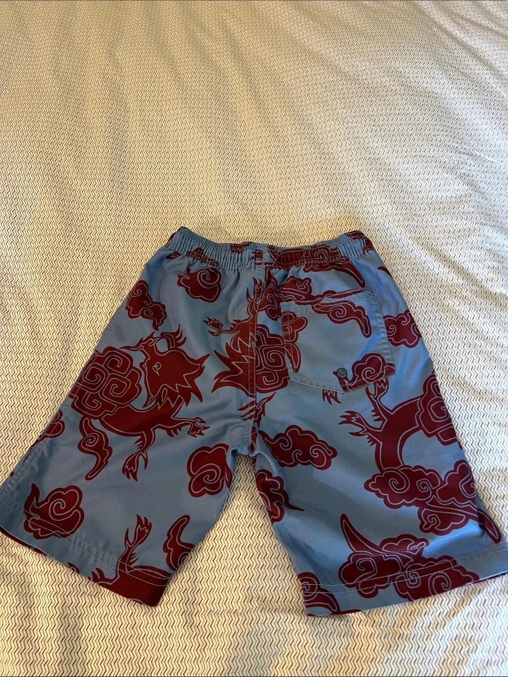Tea Collection Blue and Maroon Dragon Swim Trunks